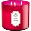 Brand new ???? Bath & Body Works Cactus Blossom 3 Wick Candle ????