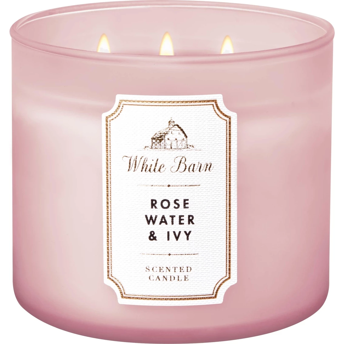 Best Pirce ???? Bath & Body Works White Barn Rosewater And Ivy 3 Wick Candle ????