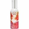 Wholesale ✨ Bath & Body Works Pumpkin Apple Room Spray ????