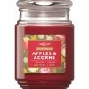 Best Pirce ???? Candle-Lite Fall Limited Edition Apples And Acorns 18 Oz. Jar Candle ????