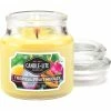 Wholesale ✨ Candle-lite Tropical Fruit Medley 3 Oz. Jar Candle ????