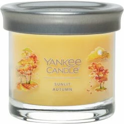 Cheapest ???? Yankee Candle Sunlit Autumn Signature Small Tumbler Candle ????