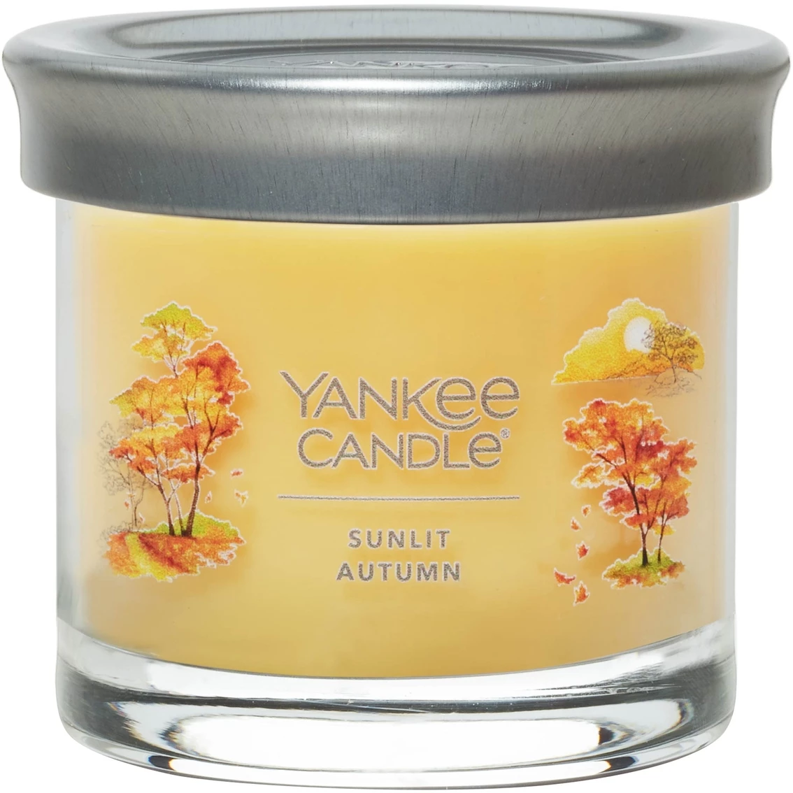 Cheapest ???? Yankee Candle Sunlit Autumn Signature Small Tumbler Candle ????
