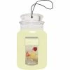 Buy ✨ Yankee Candle Iced Berry Lemonade Car Jar ????